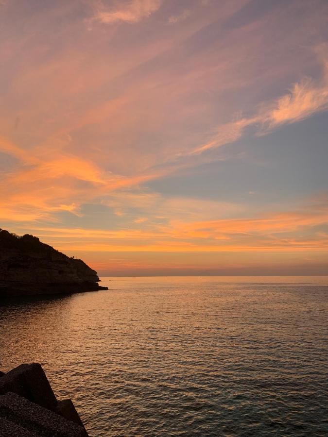 A 300 Passi Dal Mare Villa Tropea Eksteriør billede